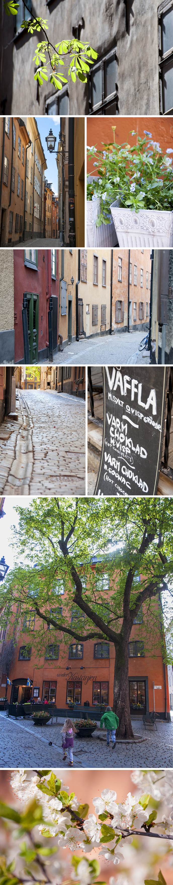 gamla stan collage