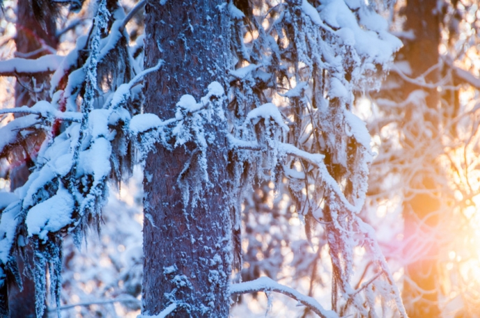 annahagvarn_Finland13-14LR-1